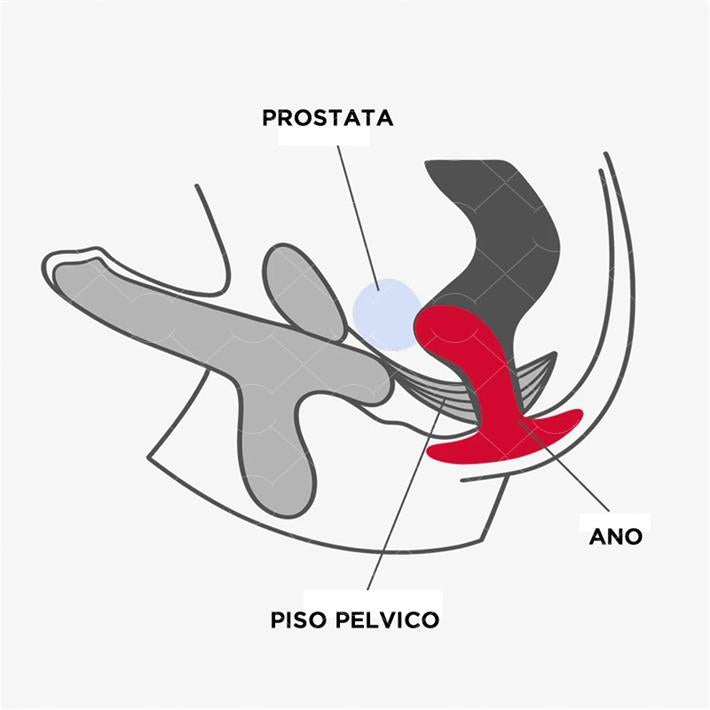 Bootie Small  prostatico